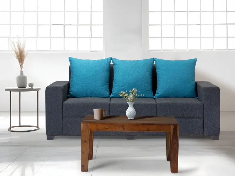 Hugo Upholstered 3 Seater Sofa in Livid Color